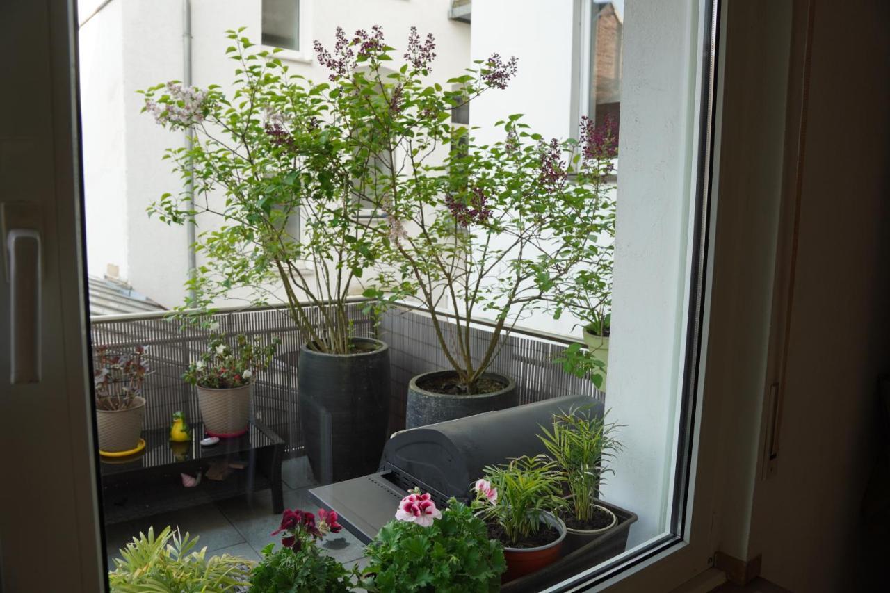 Bright, Spacious Apartment With A Lovely Terrace In The Heart Of Aachen Aarchen Exterior foto