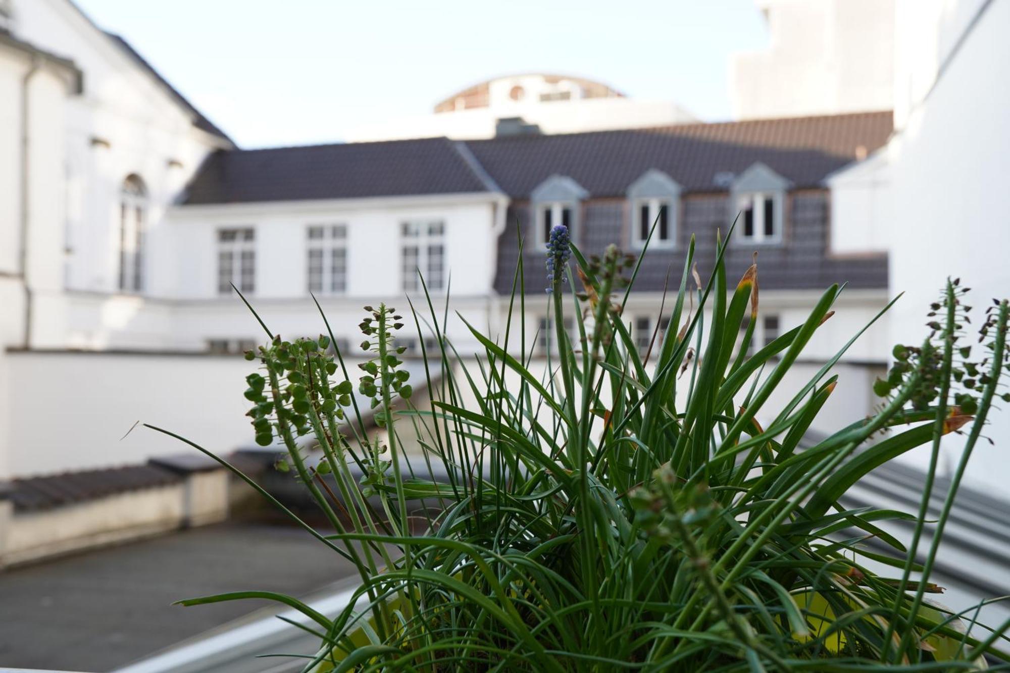 Bright, Spacious Apartment With A Lovely Terrace In The Heart Of Aachen Aarchen Exterior foto